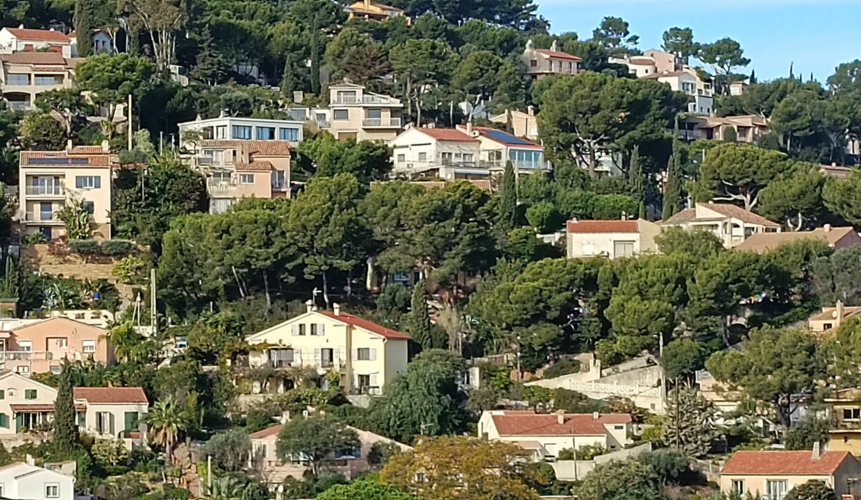 2023-111208.jpg