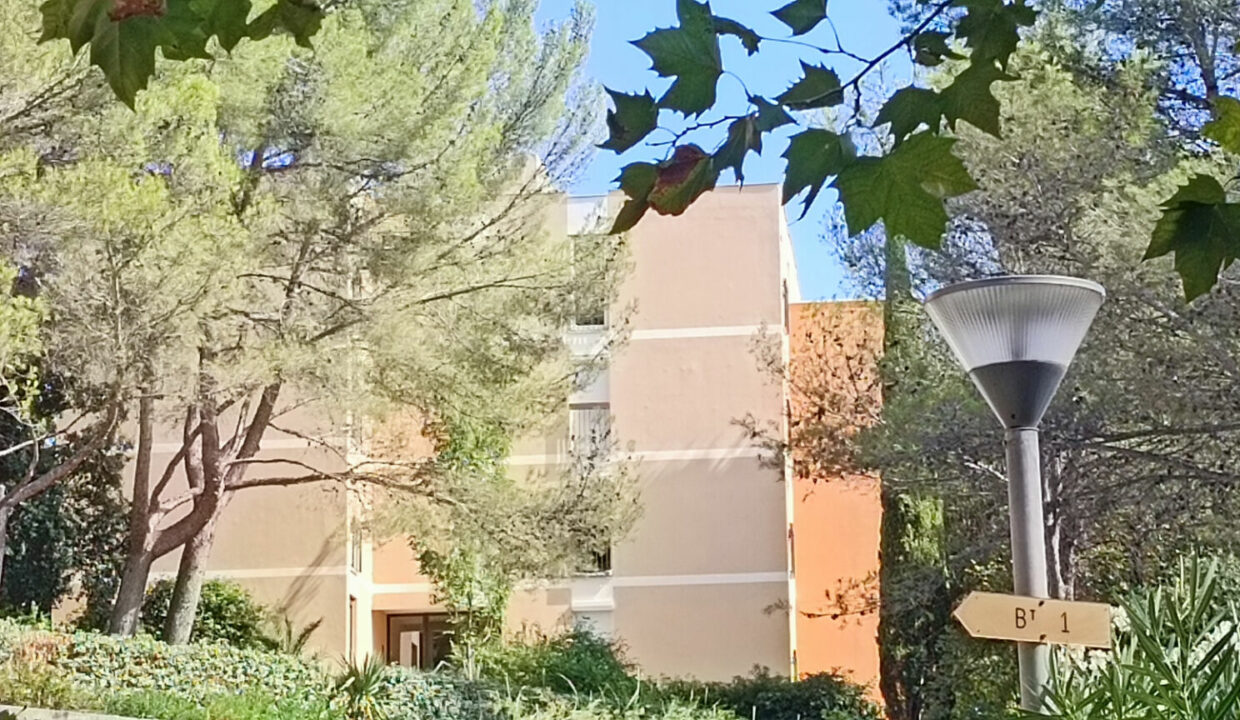 2026-115323.jpg